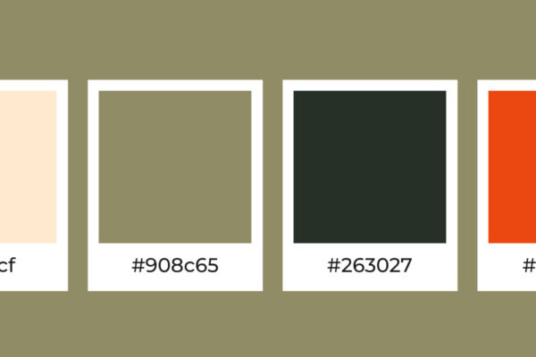 sciara-brand-board